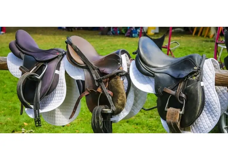 The Complete Guide to English Saddles – Styles, Fit & Expert Buying Advice