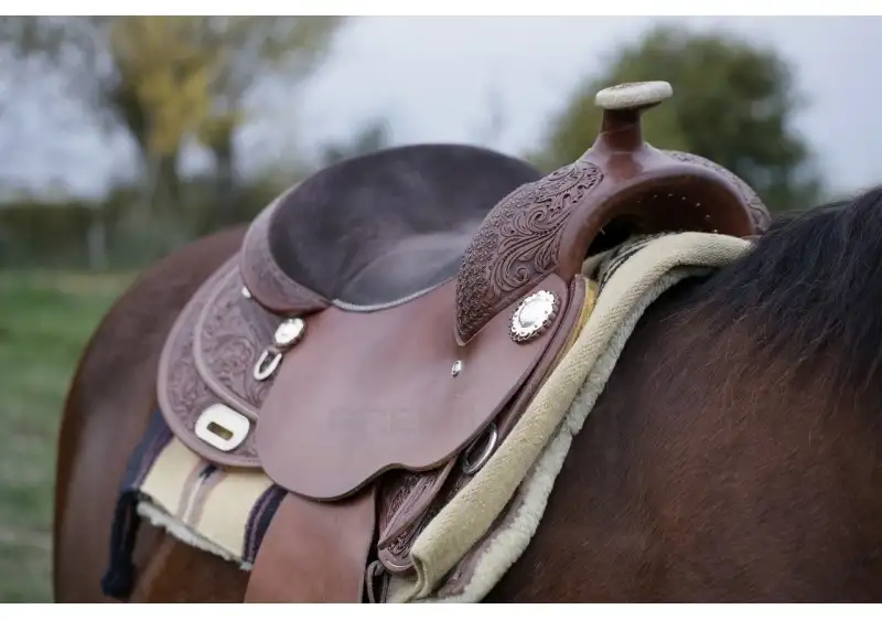 The Essential Guide to Western Saddles & Tack (Rider-Friendly + Expert Insights)