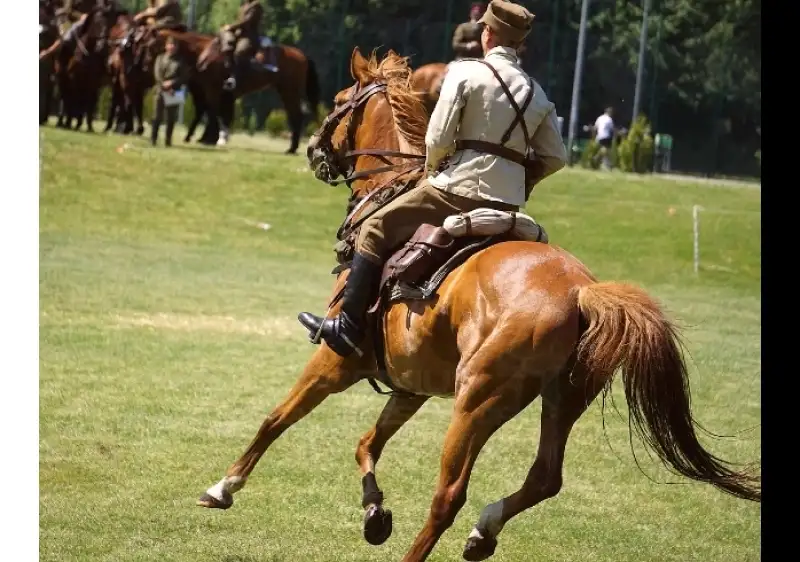 Equestrian Lifestyle & Riding Tips for Every Horse Owner