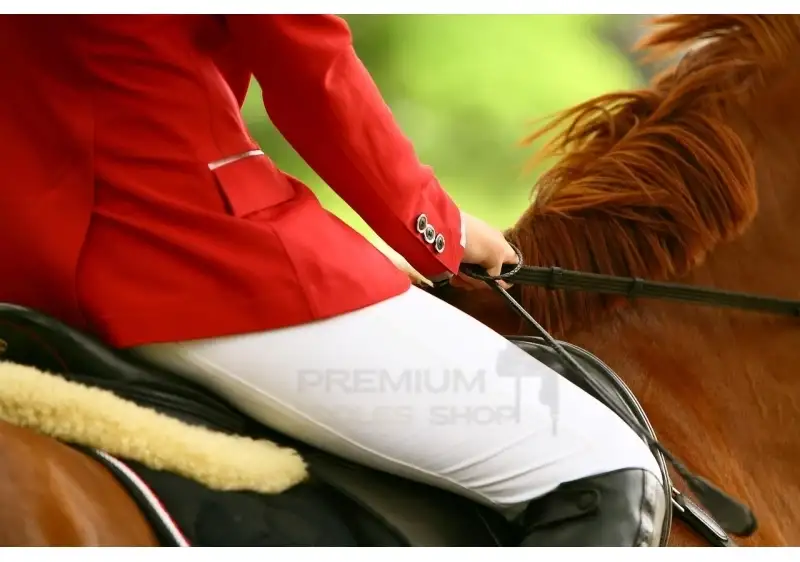 Essential Western Riding Tips & Techniques for Every Rider