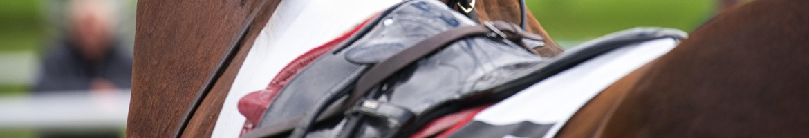 Best horse saddle brands