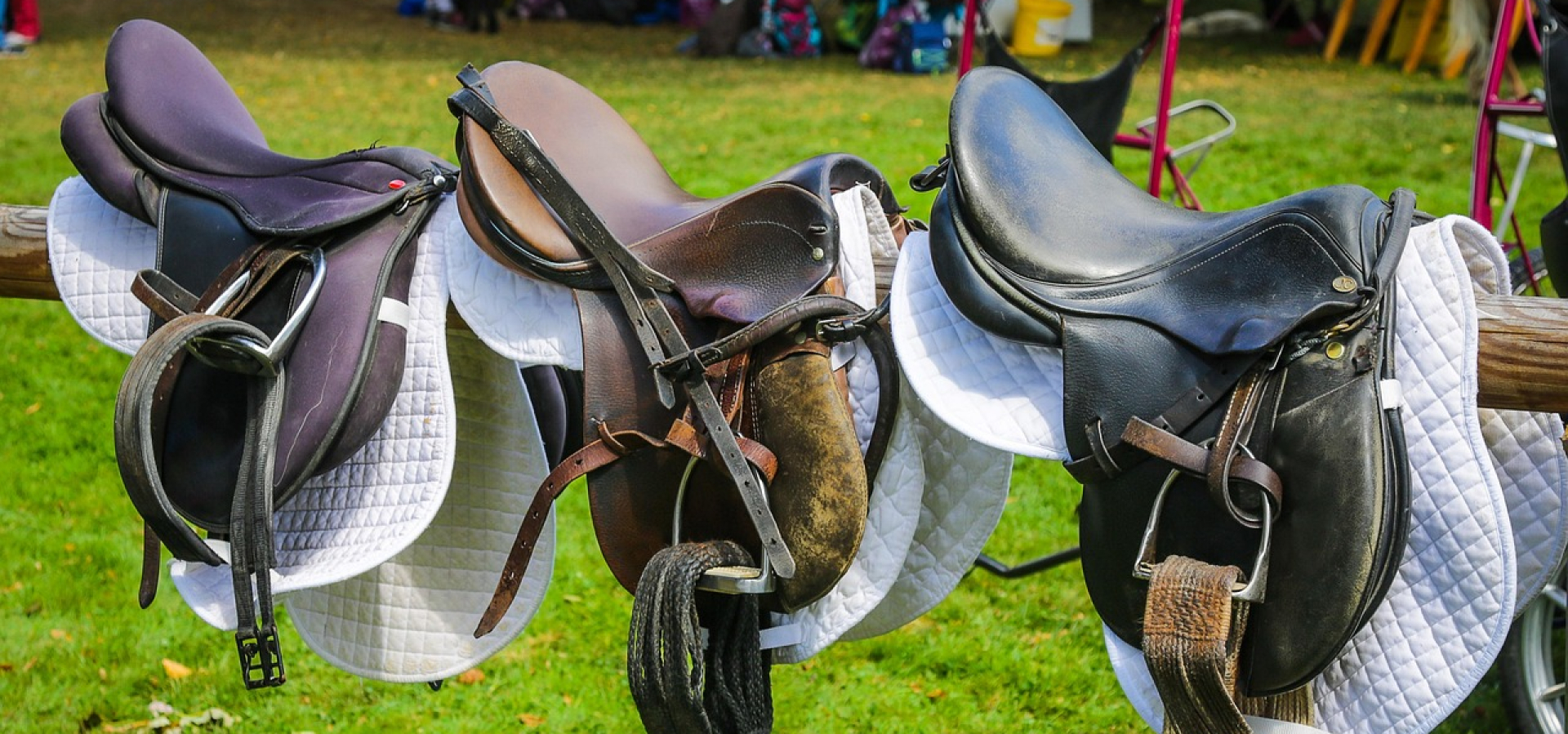 trusted online saddle retailer